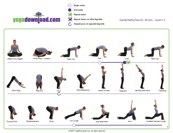 all Charmed poses yoga levels  downloadable pose  A sequences for yoga levels  Yogi